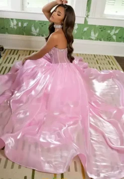 Long Dresses|Plus Sized Dresses^Rachel Allan 70998