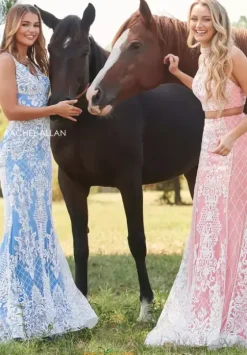 Fitted|Long Dresses^Rachel Allan 70277