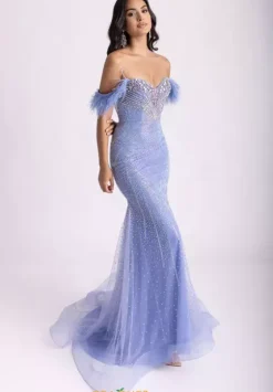Long Dresses|Pageant^Rachel Allan 70984