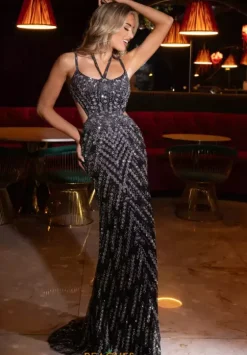 Long Dresses|Plus Sized Dresses^Rachel Allan 70897