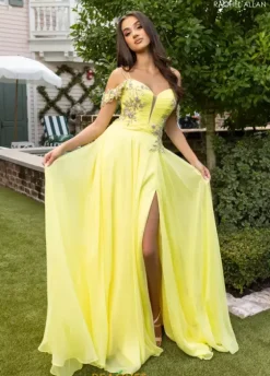 Long Dresses|Pageant^Rachel Allan 70951