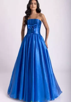 Long Dresses|Plus Sized Dresses^Rachel Allan 71060