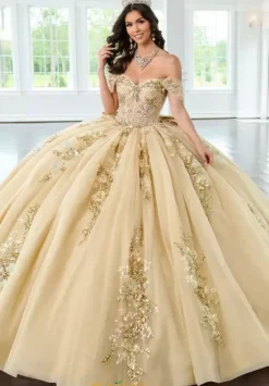 Sweet Sixteen|Plus Sized Quince Dresses^Rachel Allan Quince RQ2224