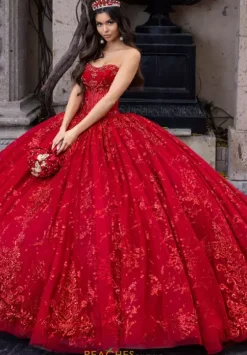 Sweet Sixteen|Plus Sized Quince Dresses^Rachel Allan Quince RQ1172