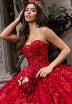 Sweet Sixteen|Plus Sized Quince Dresses^Rachel Allan Quince RQ1172