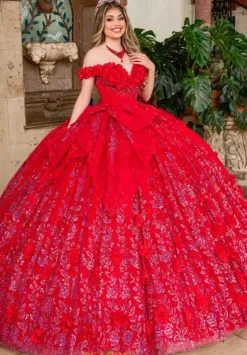 Sweet Sixteen|Plus Sized Quince Dresses^Rachel Allan Quince RQ1141