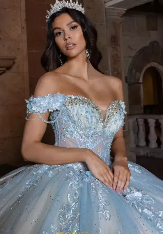 Sweet Sixteen|Quince Dresses With Sleeves^Rachel Allan Quince RQ1166