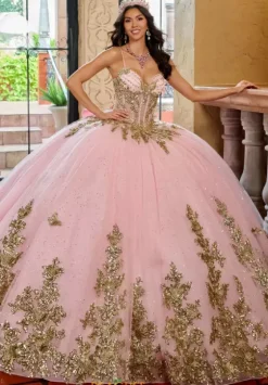 Sweet Sixteen|Plus Sized Quince Dresses^Rachel Allan Quince RQ1158