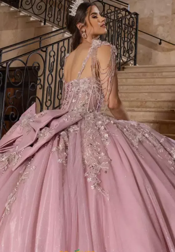 Sweet Sixteen|Plus Sized Quince Dresses^Rachel Allan Quince RQ1182