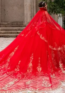 Plus Sized Quince Dresses|Sweet Sixteen^Rachel Allan Quince RQ6015