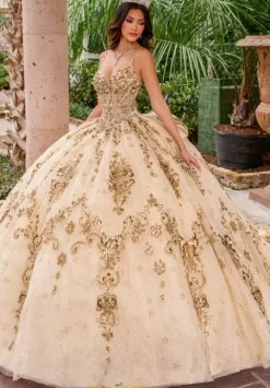 Sweet Sixteen|Plus Sized Quince Dresses^Rachel Allan Quince RQ2202