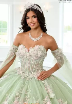 Quince Dresses With Sleeves|Plus Sized Quince Dresses^Rachel Allan Quince RQ2216