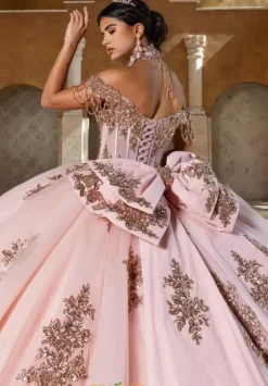 Sweet Sixteen|Plus Sized Quince Dresses^Rachel Allan Quince RQ1183