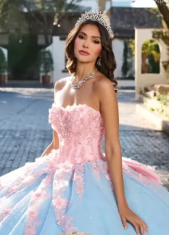 Quince Dresses With Sleeves|Plus Sized Quince Dresses^Rachel Allan Quince RQ2196