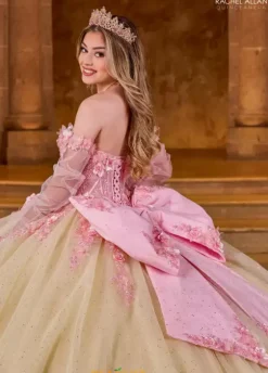 Quince Dresses With Sleeves|Plus Sized Quince Dresses^Rachel Allan Quince RQ2196