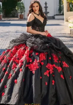 Plus Sized Quince Dresses|Sweet Sixteen^Rachel Allan Quince RQ1144