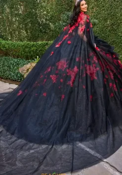 Plus Sized Quince Dresses|Sweet Sixteen^Rachel Allan Quince RQ1144