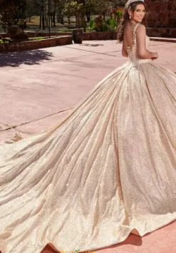 Plus Sized Quince Dresses|Sweet Sixteen^Rachel Allan Quince RQ1127