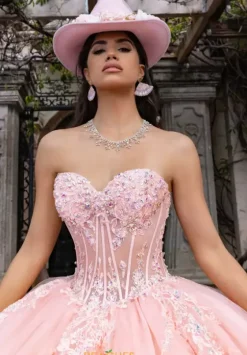 Sweet Sixteen|Plus Sized Quince Dresses^Rachel Allan Quince RQ1169