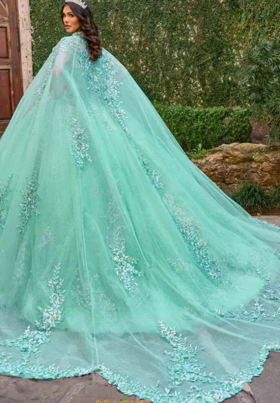 Sweet Sixteen|Plus Sized Quince Dresses^Rachel Allan Quince RQ1148