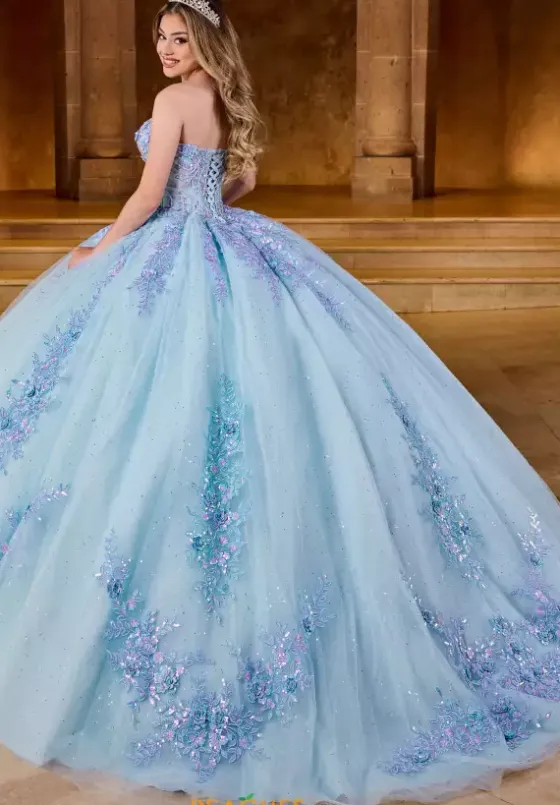 Sweet Sixteen|Plus Sized Quince Dresses^Rachel Allan Quince RQ1148