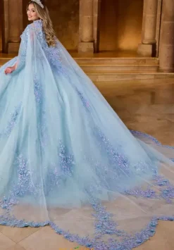 Sweet Sixteen|Plus Sized Quince Dresses^Rachel Allan Quince RQ1148