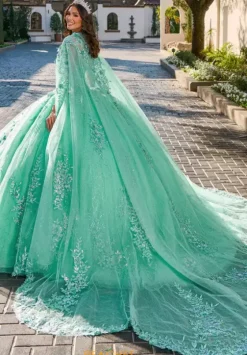 Sweet Sixteen|Plus Sized Quince Dresses^Rachel Allan Quince RQ1148