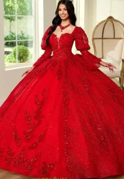 Quince Dresses With Sleeves|Plus Sized Quince Dresses^Rachel Allan Quince RQ1135