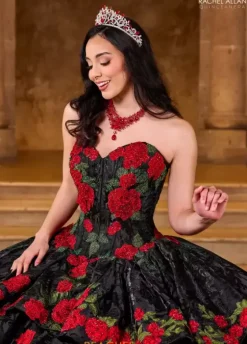 Sweet Sixteen|Plus Sized Quince Dresses^Rachel Allan Quince RQ5006