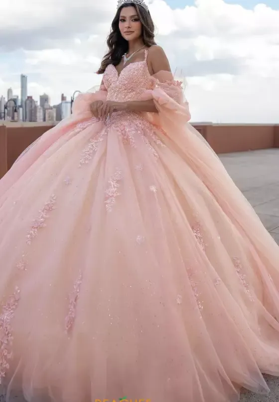 Sweet Sixteen|Plus Sized Quince Dresses^Rachel Allan Quince RQ1133
