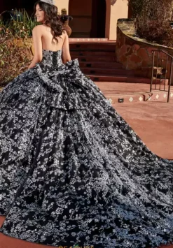 Sweet Sixteen|Quince Dresses With Sleeves^Rachel Allan Quince RQ2176