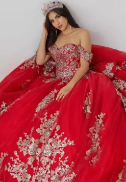 Sweet Sixteen|Plus Sized Quince Dresses^Tiffany Quinceanera 26022