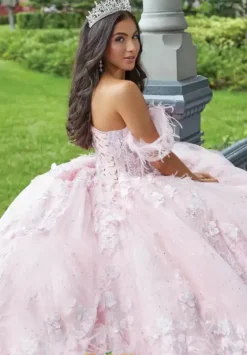 Sweet Sixteen|Plus Sized Quince Dresses^Tiffany Quinceanera 26047