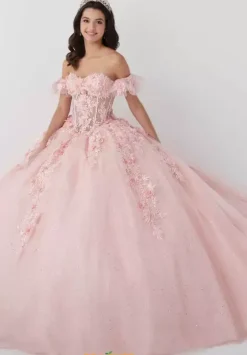 Sweet Sixteen|Plus Sized Quince Dresses^Tiffany Quinceanera 56465
