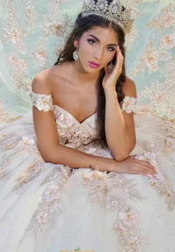 Sweet Sixteen|Plus Sized Quince Dresses^Tiffany Quinceanera 26073