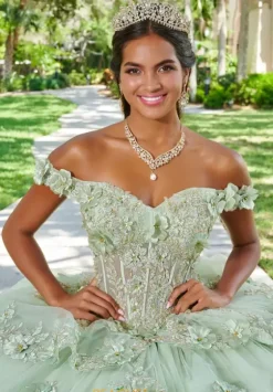 Sweet Sixteen|Plus Sized Quince Dresses^Tiffany Quinceanera 26073