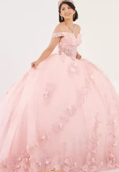 Plus Sized Quince Dresses|Sweet Sixteen^Tiffany Quinceanera 56496