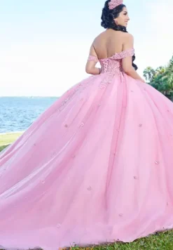 Sweet Sixteen|Plus Sized Quince Dresses^Tiffany Quinceanera 56490