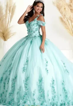 Sweet Sixteen|Plus Sized Quince Dresses^Tiffany Quinceanera 56449