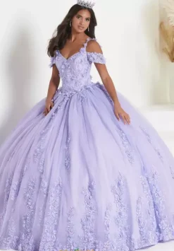 Sweet Sixteen|Plus Sized Quince Dresses^Tiffany Quinceanera 56449