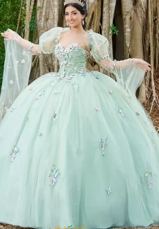 Quince Dresses With Sleeves|Plus Sized Quince Dresses^Tiffany Quinceanera 56500