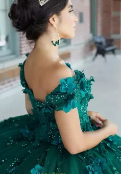 Sweet Sixteen|Plus Sized Quince Dresses^Tiffany Quinceanera 26046