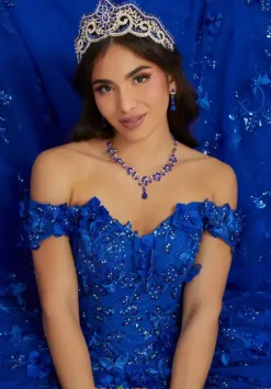 Sweet Sixteen|Plus Sized Quince Dresses^Tiffany Quinceanera 26046