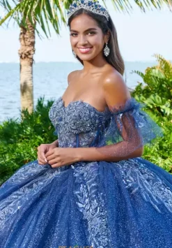 Plus Sized Quince Dresses|Sweet Sixteen^Tiffany Quinceanera 56495