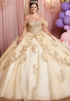 Sweet Sixteen|Plus Sized Quince Dresses^Vizcaya Quinceanera 89520
