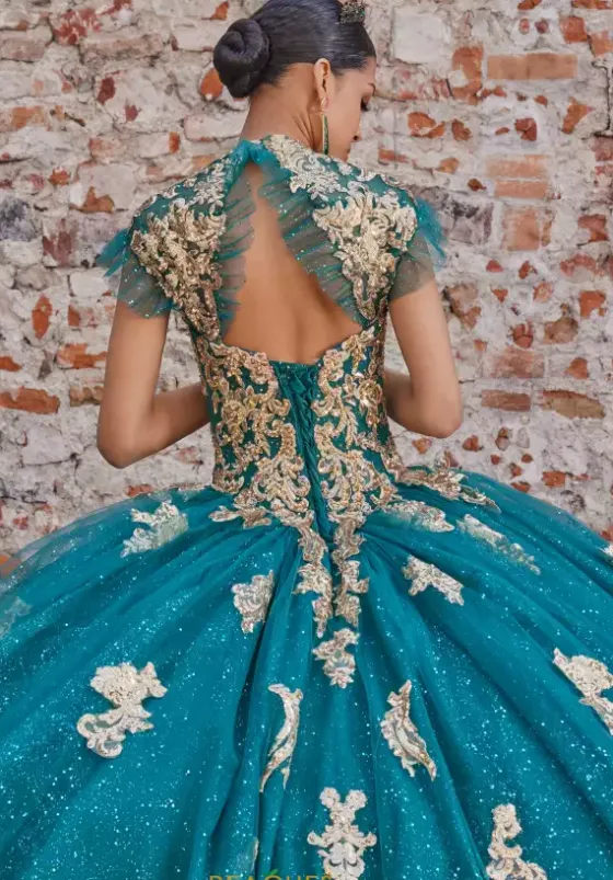 Sweet Sixteen|Plus Sized Quince Dresses^Vizcaya Quinceanera 89533