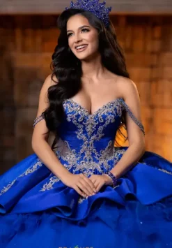 Plus Sized Quince Dresses|Sweet Sixteen^Vizcaya Quinceanera 4080007 Regal Royal/Silver