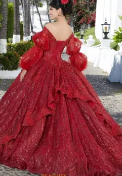 Plus Sized Quince Dresses|Sweet Sixteen^Vizcaya Quinceanera 89361