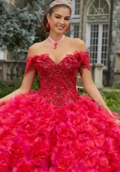 Quince Dresses With Sleeves|Plus Sized Quince Dresses^Vizcaya Quinceanera 34081