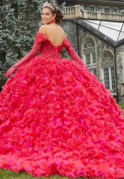 Quince Dresses With Sleeves|Plus Sized Quince Dresses^Vizcaya Quinceanera 34081